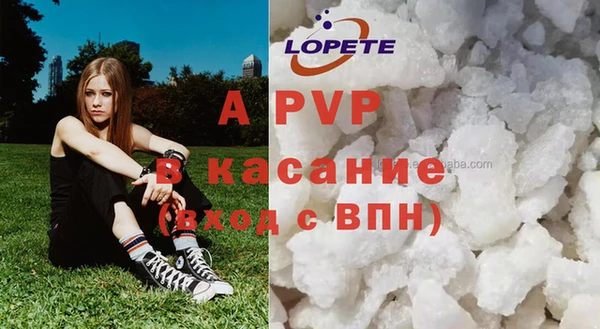 гидра Нея
