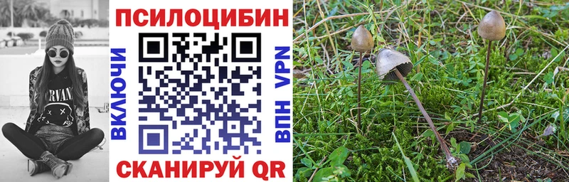 Галлюциногенные грибы Magic Shrooms  сколько стоит  Уяр 